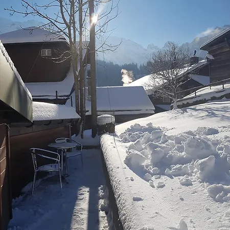 Chalet Taubenschlag Prázdninový dům Engelberg